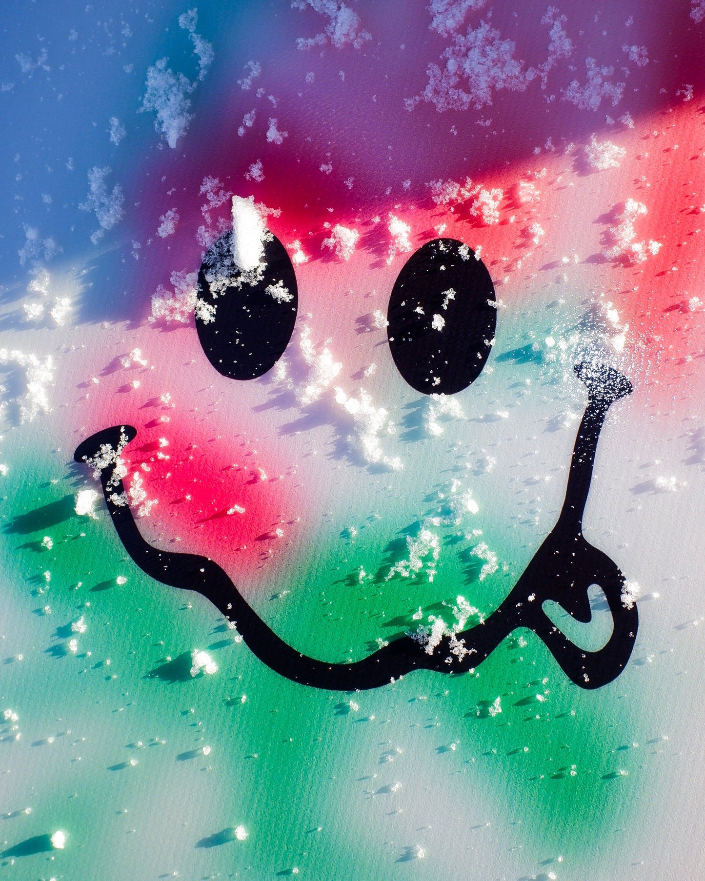 Men's Snowboards - Evil Twin Men's Snowboard - Bataleon US